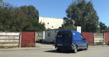 Constănţenii, abandonaţi în colţii câinilor fără stăpân. Vom scăpa vreodată de maidanezi? - 5