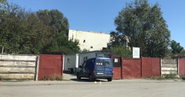 Constănţenii, abandonaţi în colţii câinilor fără stăpân. Vom scăpa vreodată de maidanezi? - 8
