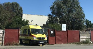 Constănţenii, abandonaţi în colţii câinilor fără stăpân. Vom scăpa vreodată de maidanezi? - 6