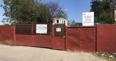 Constănţenii, abandonaţi în colţii câinilor fără stăpân. Vom scăpa vreodată de maidanezi? - 3