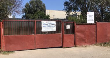 Constănţenii, abandonaţi în colţii câinilor fără stăpân. Vom scăpa vreodată de maidanezi? - 4