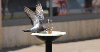 Stire din Social : Canicula lovește Constanța! Unde vă puteți adăposti și ce recomandă medicii