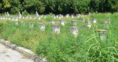 Cimitirul Eroilor din Constanța, monument de indiferență și lipsă de respect - 7