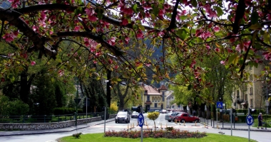 Constanța, un oraș mizerabil. "Arată ca o măsea cariată!" - 6