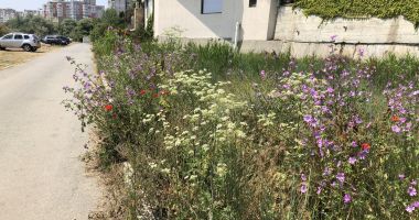 Constanța, cu spatele la mare! Fără locuri de parcare și fără drumuri de acces spre plaje - 8