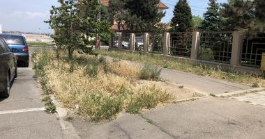 Constanța, cu spatele la mare! Fără locuri de parcare și fără drumuri de acces spre plaje - 10