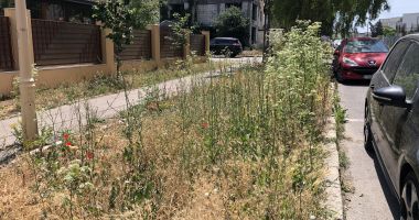 Constanța, cu spatele la mare! Fără locuri de parcare și fără drumuri de acces spre plaje - 11