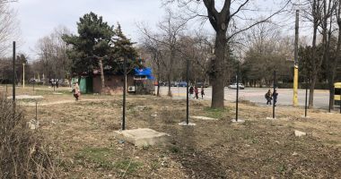 "De ce le permite Primăria Constanța să ne distrugă în halul acesta?" - 3