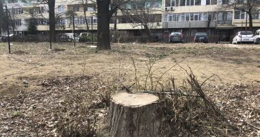 Stire din Social : "De ce le permite Primăria Constanța să ne distrugă în halul acesta?"