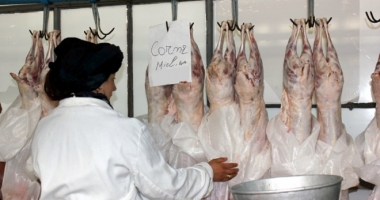 Stire din Social : Atenție, carne cu E-Coli pe piață! Inspectorii veterinari continuă controalele