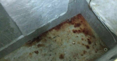 Jale pe terasele din Vama Veche: meniu cu pește expirat! - 4