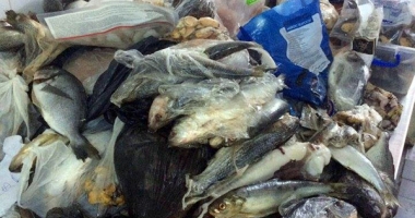 Jale pe terasele din Vama Veche: meniu cu pește expirat! - 1