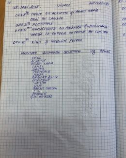 Grădinițele, luate la puricat de OPC. Neregulile găsite de inspectori dau dureri de cap părinților - 7
