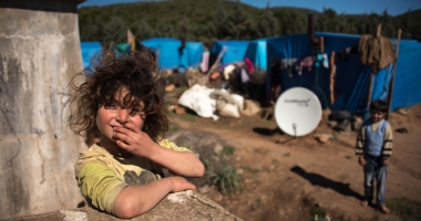 Stire din Social : Copii exploatați prin muncă, la țară. "Ține de «normalitatea» mediului rural și nu este considerat abuz"