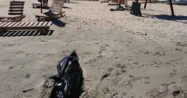Singuri în lupta pentru salvarea delfinilor!  Mare Nostrum decretează 5 august zi de doliu - 3
