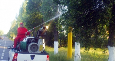 Căpușele atacă din nou! Zeci de persoane mușcate au luat cu asalt Spitalul de Boli Infecțioase - 2