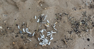 Dezastru pe litoral. Cum au ajuns plajele  din Constanța, Eforie și Mamaia să aibă  mai multe mucuri de țigară decât nisip - 5