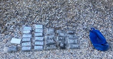 Paradisul cocainei pe litoralul românesc. "Nu deschideți pachetele, vă puteți pune în pericol viața!" - 6