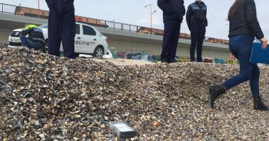 Paradisul cocainei pe litoralul românesc. "Nu deschideți pachetele, vă puteți pune în pericol viața!" - 3