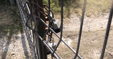 Maidanezii fac legea la Constanța! Adăpostul e ferecat, iar străzile - pline de câini - 5