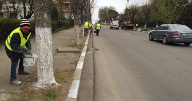 Eforie se pregătește de noul sezon estival. A început curățenia de primăvară - 7