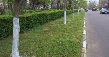 Eforie se pregătește de noul sezon estival. A început curățenia de primăvară - 6