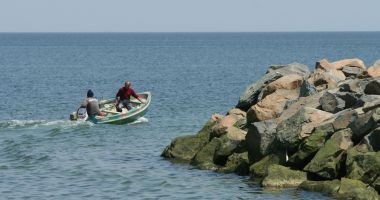 Stire din Social : Expediţii ştiinţifice în Marea Neagră. Cercetătorii numără rapanele