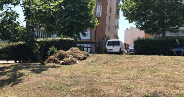 Constanța, cu fața spre mare. Falezele și scările de acces curățate. Reabilitarea mai așteaptă - 6