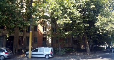 Bulevardul Ferdinand a scăpat de cablurile agățate de stâlpi - 2