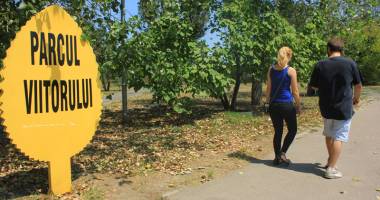 Locurile de joacă din Constanța, adevărate focare de infecție - 7