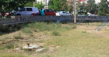Locurile de joacă din Constanța, adevărate focare de infecție - 11