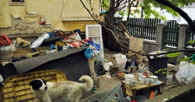 Își terorizează vecinii. "Stăm lângă  un focar de infecție! Ne-au invadat șobolanii!" - 10