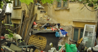 Își terorizează vecinii. "Stăm lângă  un focar de infecție! Ne-au invadat șobolanii!" - 13