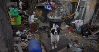 Își terorizează vecinii. "Stăm lângă  un focar de infecție! Ne-au invadat șobolanii!" - 4