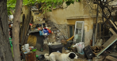 Își terorizează vecinii. "Stăm lângă  un focar de infecție! Ne-au invadat șobolanii!" - 7