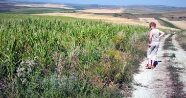Stire din Social : SECETĂ ȘI CANICULĂ, LA CONSTANȚA. Cum arată prognoza meteo pe următoarele luni