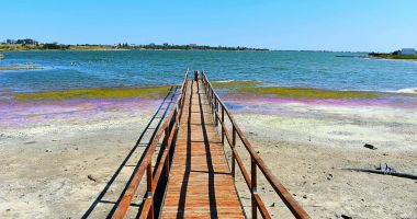 Lacul Techirghiol, în pericol. „Tragem un semnal de alarmă în ce priveşte secarea lacurilor din Dobrogea!” - 3