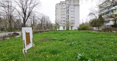 Betoane pe bulevardul Lăpușneanu. S-a pus cruce pe ultimele două spații verzi de vizavi de Tăbăcărie - 2