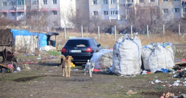 Mahalaua din inima Constanței. Locatarii sunt terorizați! - 11