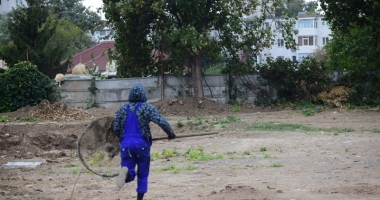 Maidanezii fac legea la Constanța! Adăpostul e ferecat, iar străzile - pline de câini - 11
