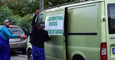 Maidanezii fac legea la Constanța! Adăpostul e ferecat, iar străzile - pline de câini - 14
