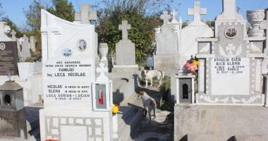 Maidanezii, pericolul dintre morminte. Cimitirul Central, casă pentru haitele de câini - 3