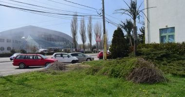 A început marea "spoială" a stațiunii Mamaia.  Când va începe adevărata curățenie și reabilitare? - 7