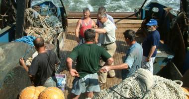 Marea Neagră este în convalescență. Cresc stocurile de pești și capturile record de rapană - 2