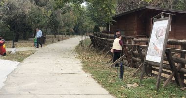 La pas prin Microrezervație.  "Multă uscăciune, cuști urâte și puține animale!" - 2