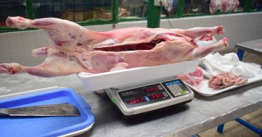Stire din Social : Igienă și siguranță alimentară! De unde cumpărăm carne de miel pentru Paști
