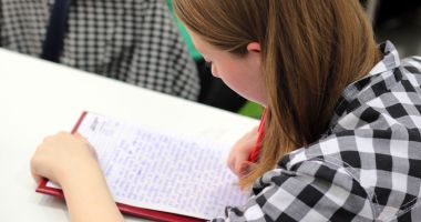 Stire din Cultură-Educație : Ecaterina Andronescu pune lacătul pe mai multe licee și le transformă în școli profesionale