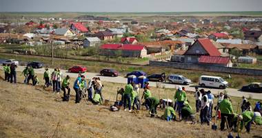 Unde au dispărut pădurile din județul Constanța - 3