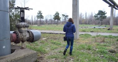 Ruine, bălării și maidane. "Jungla" din curtea Palatului Copiilor - 3