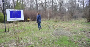 Ruine, bălării și maidane. "Jungla" din curtea Palatului Copiilor - 15